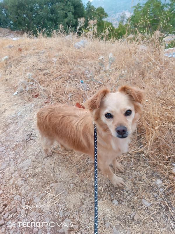 Najma, dolce meticcia Foto 3